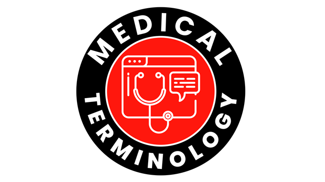 Picture for: Intro to Medical Terminology