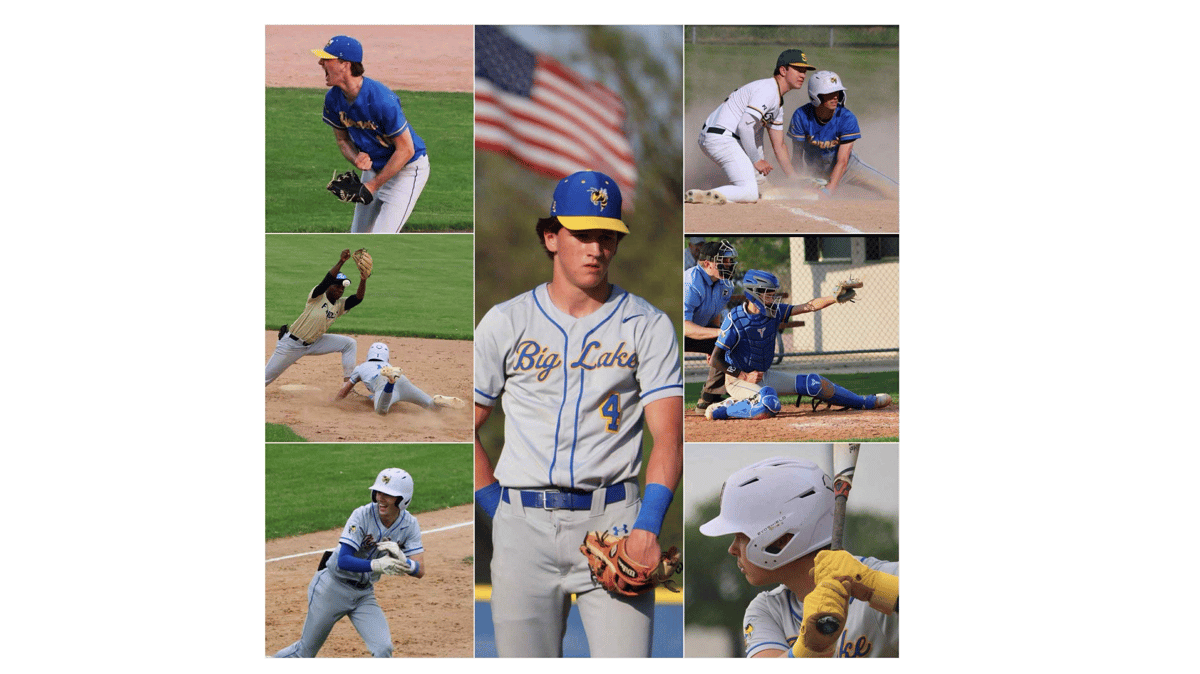 Picture for: Hornet Baseball Clinic