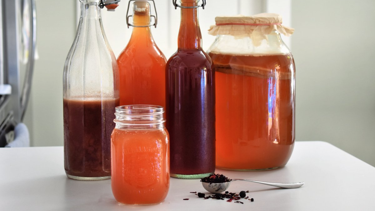 Picture for: Gut Health Series