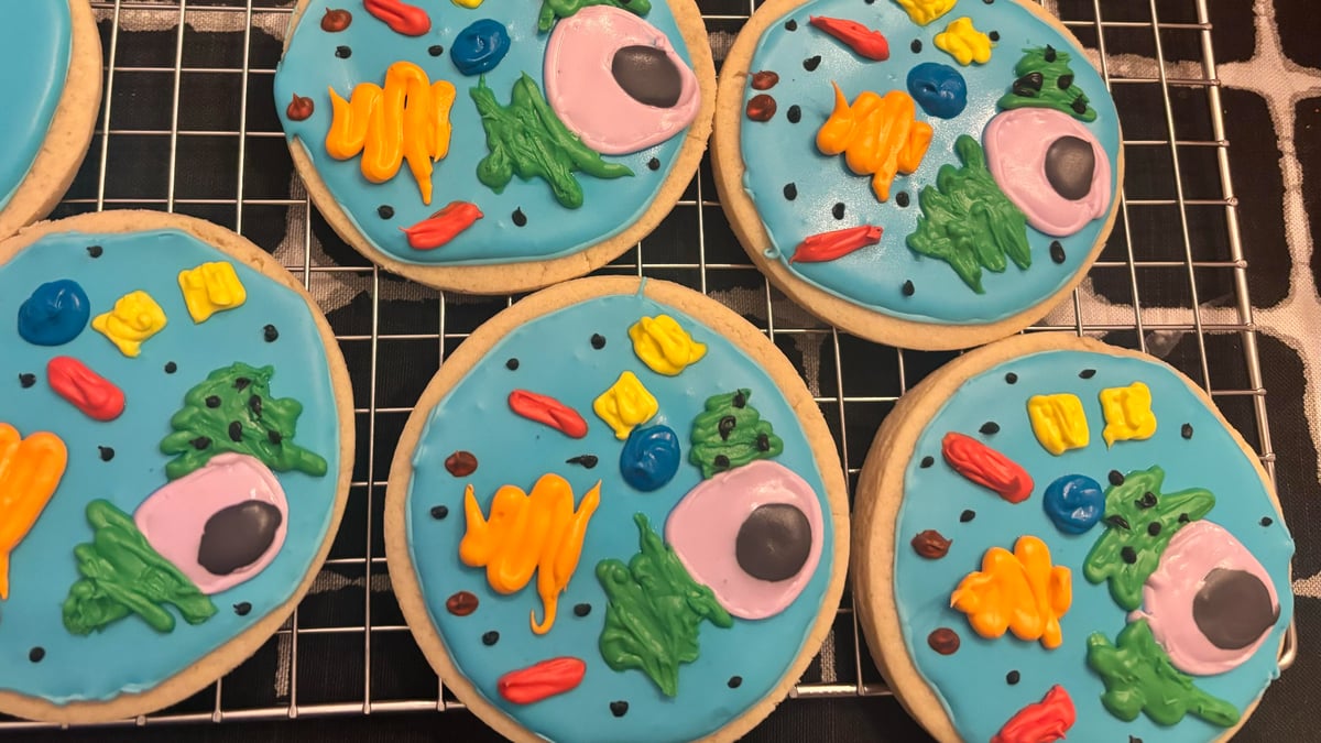 Picture for: Edible 3D Cell Models - A Journey into the Microbakery