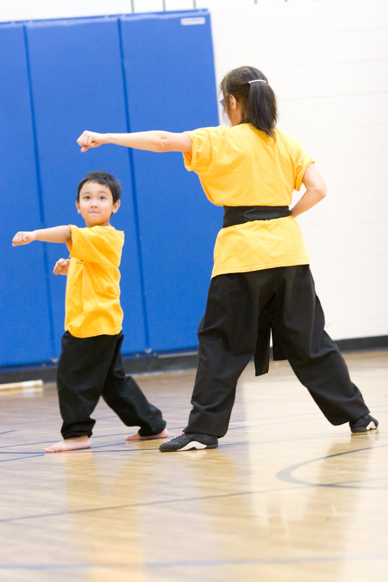 Picture for: Kung Fu - Wu Shu for Self Defense & Fitness