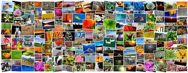 Picture for: Photo Organization - Print & Digital