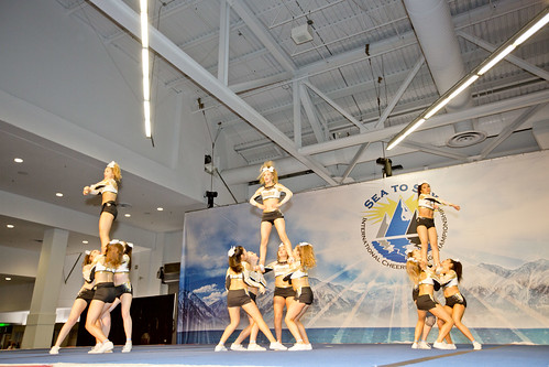 Picture for: Elementary Competition Cheer Team