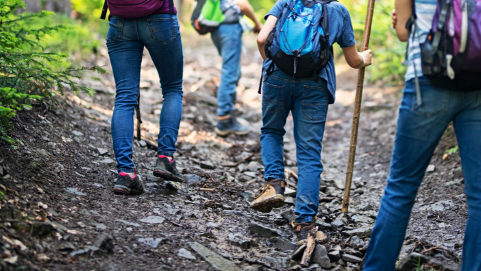 Picture for: Women's Hiking Group