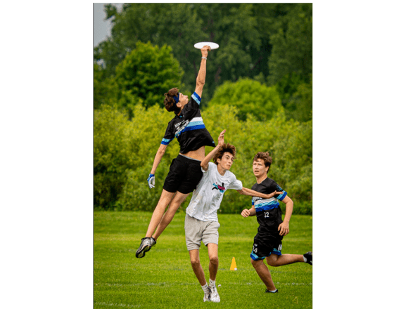 Picture for: Ultimate Frisbee Fall League