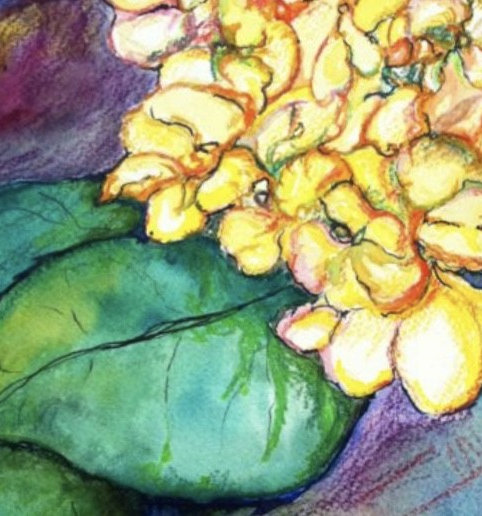 Picture for: Watercolor & Mixed Media