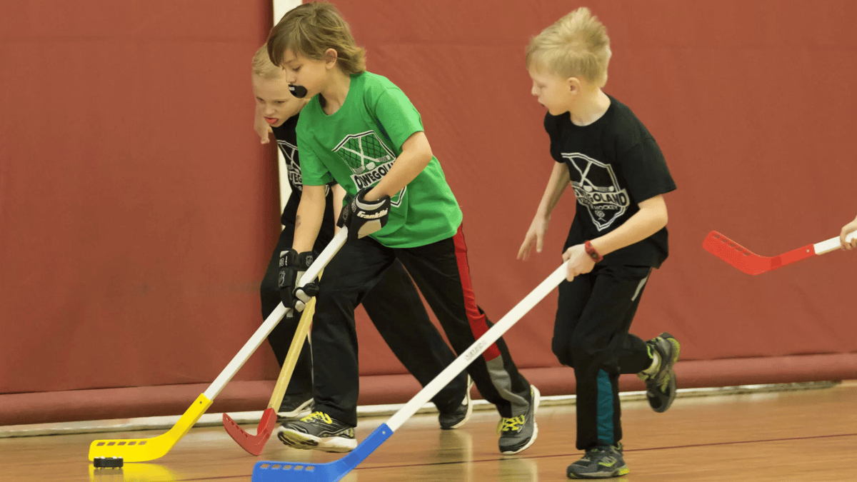 Picture for: Floor Hockey Fundamentals