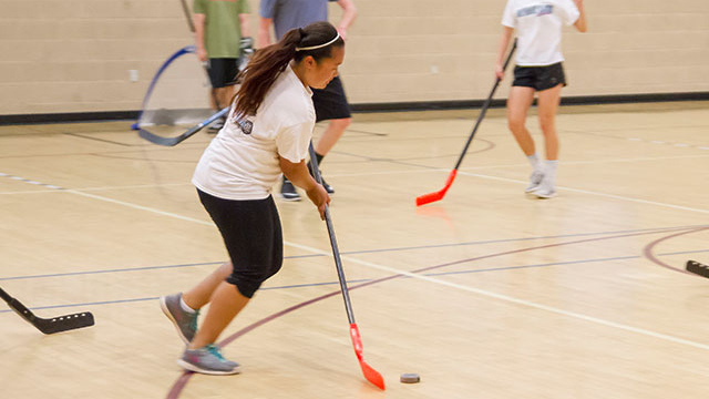 Picture for: Floor Hockey Fundamentals