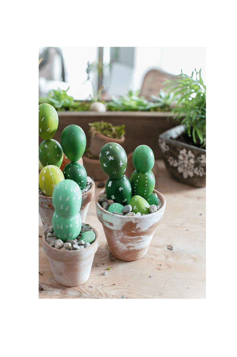Picture for: Cactus Creations for Mom