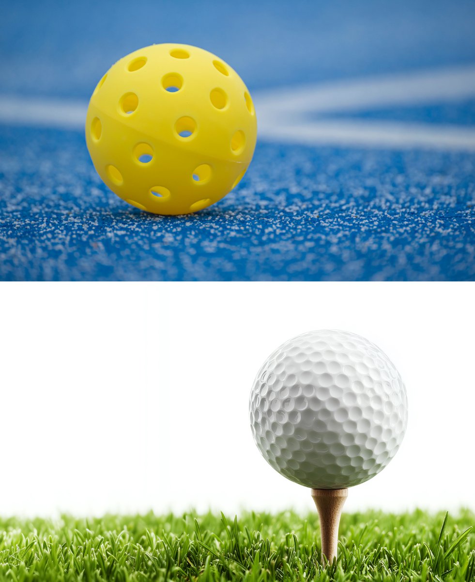 Picture for: Pickleball & Golf