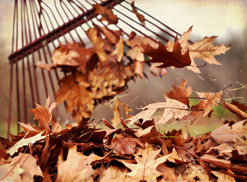 Picture for: Rake-a-Thon 2026