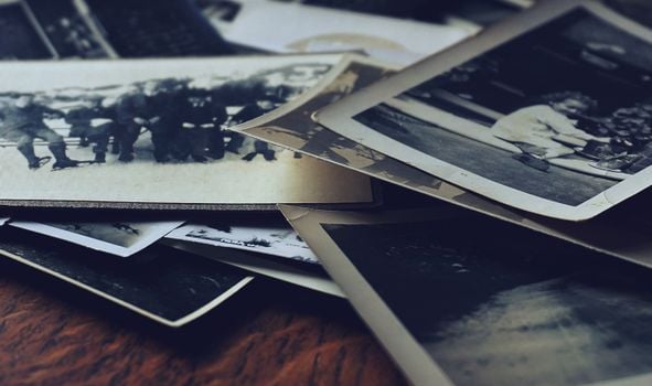 Picture for: Branching Out: A Live Genealogy Q&A