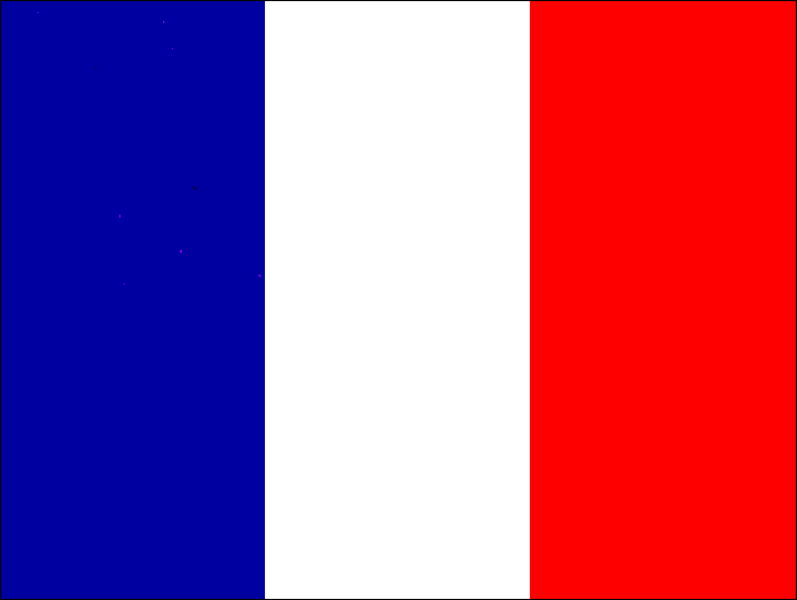 Picture for: French for Travelers