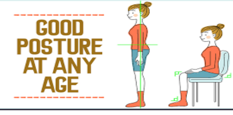 Picture for: Posture Perfect: Adult
