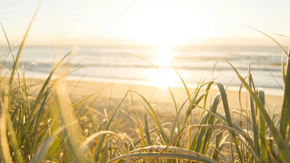 Picture for: How to Support People Grieving a Death: Do's & Don'ts