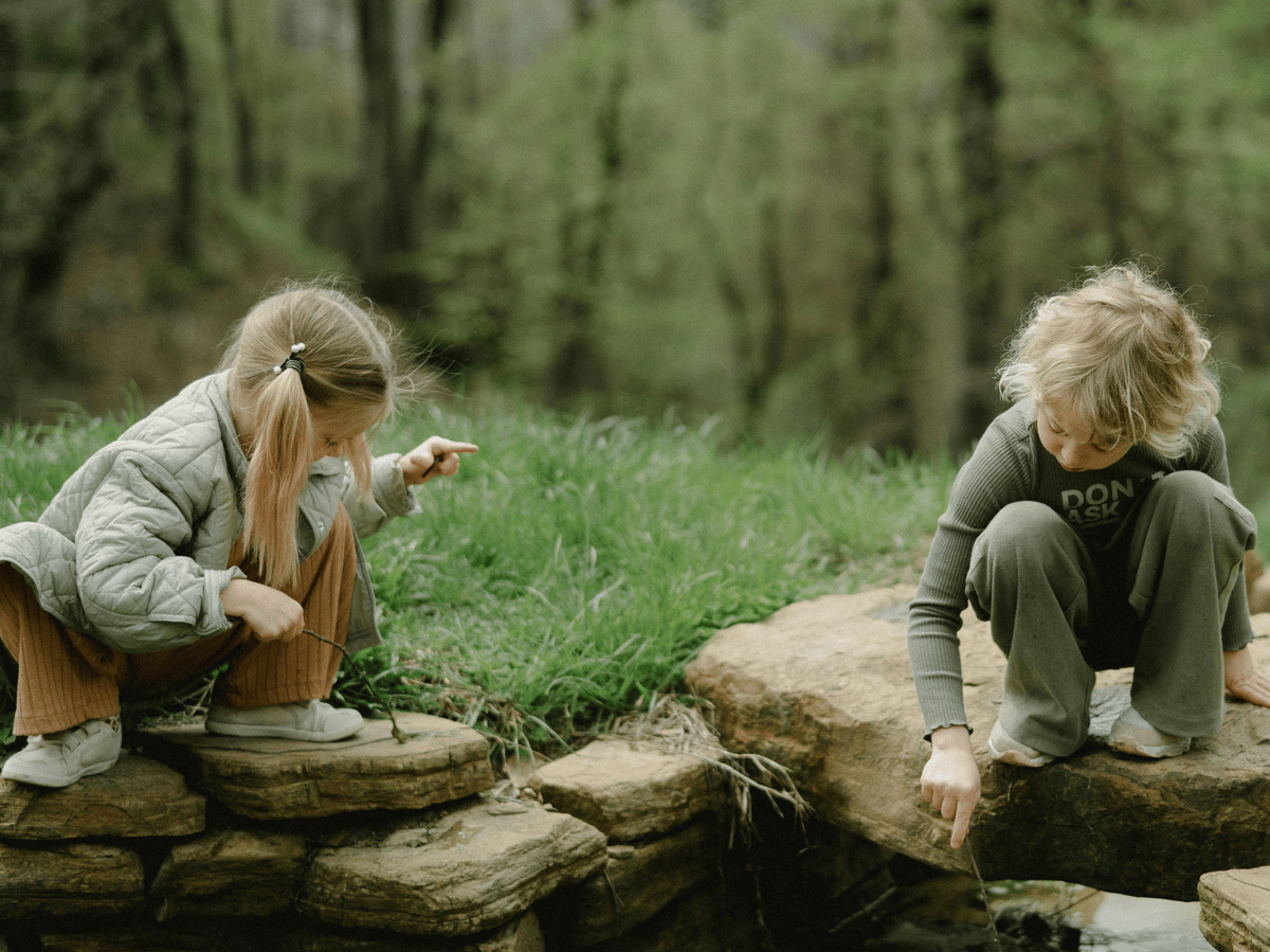 Picture for: Into the Woods: Gr. K-5