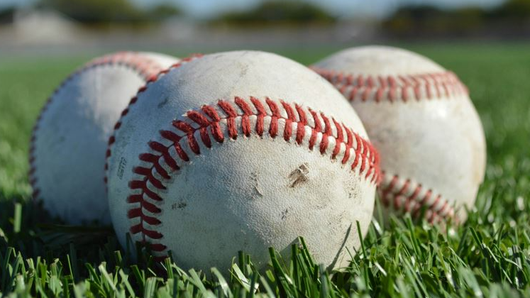 Picture for: Hornets Sports Sampler: Baseball Gr. K-5
