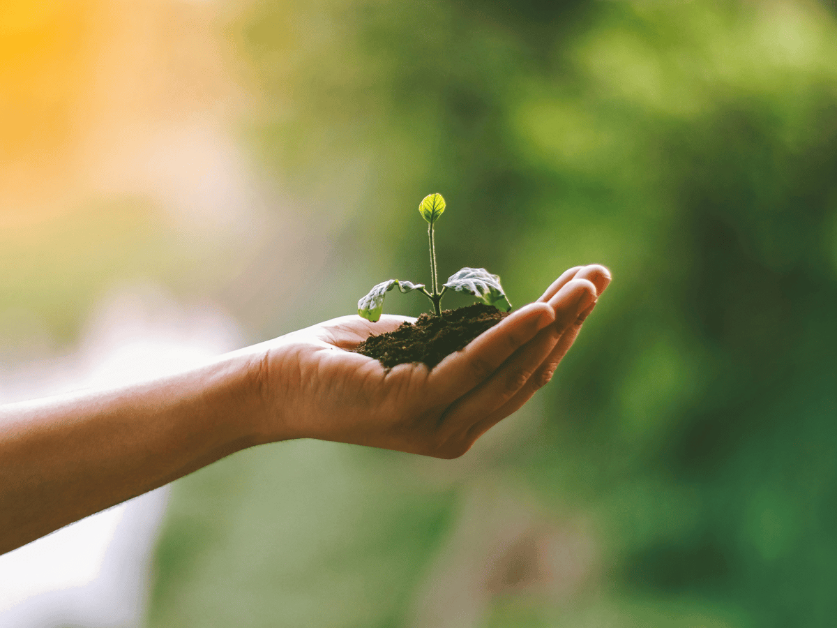 Picture for: Sustainability Club: Gr. 3-5