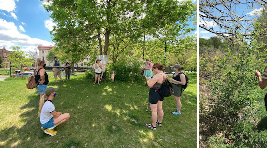 Picture for: Introduction to Foraging: Discovering Wild Foods - Intergenerational