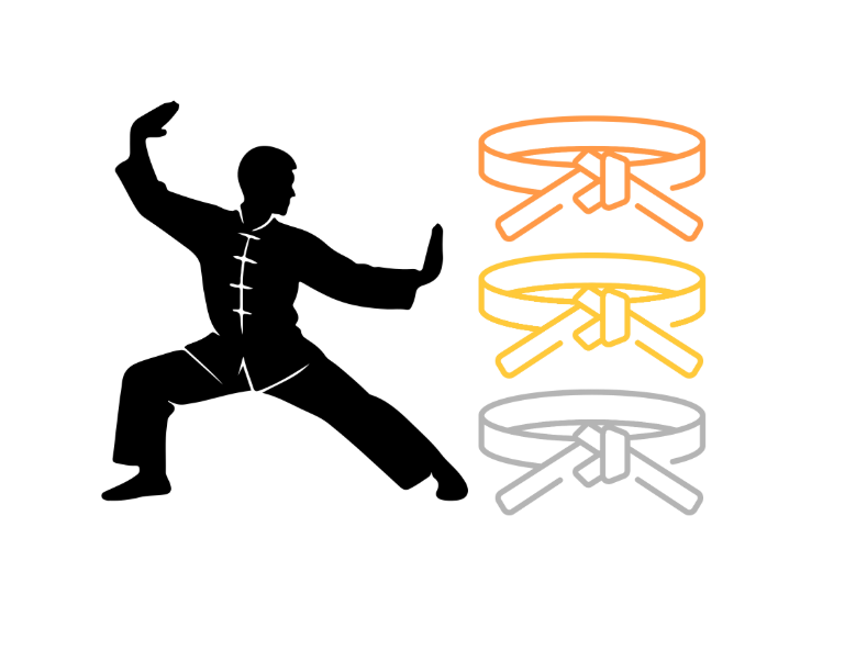 Picture for: Kung Fu – Wu Shu for Self-Defense and Fitness: White - Orange Belt: Ages 5 - Adult