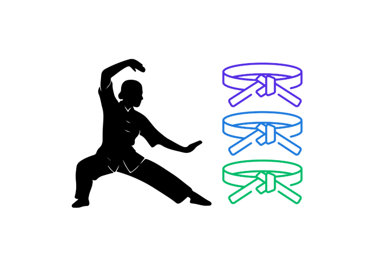 Picture for: Kung Fu – Wu Shu for Self-Defense and Fitness: Green – 2nd Purple Belt: Ages 5 - Adult