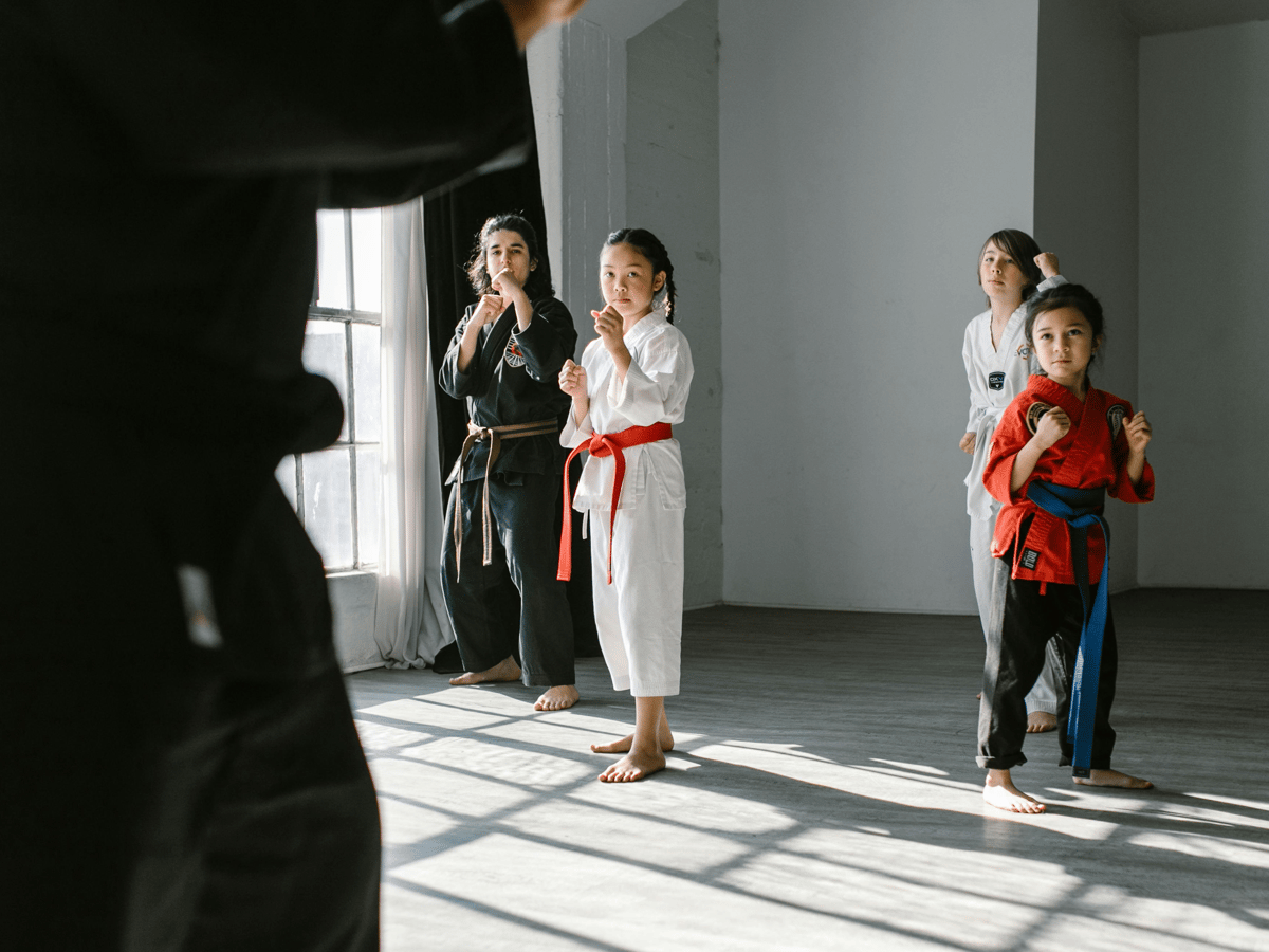 Picture for: Ninja Play: Gr. 3-5