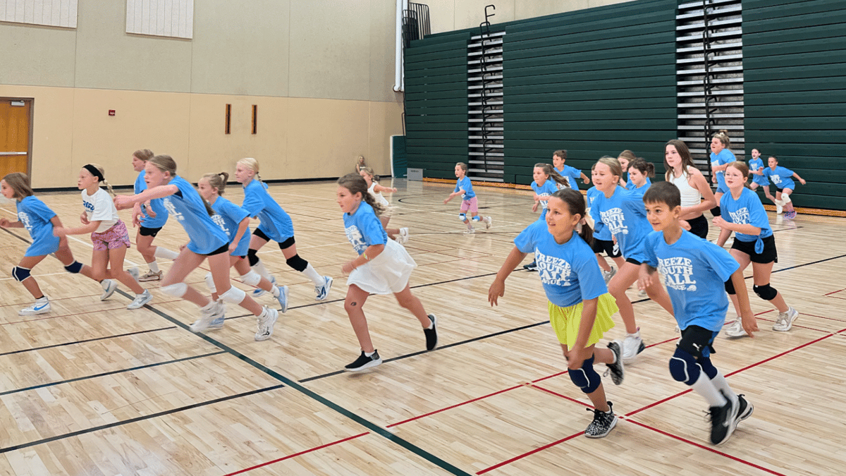 Picture for: Girls Spring Volleyball Clinic: Gr. 1-6