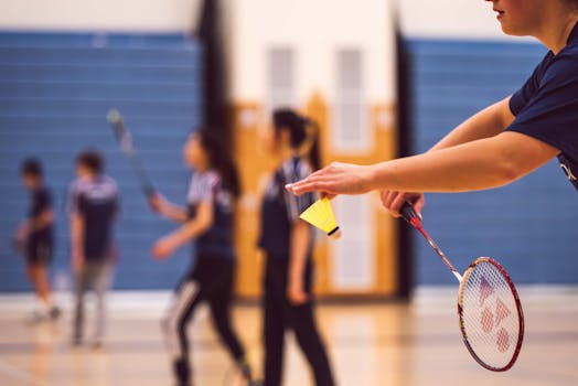 Picture for: Middle School Badminton Club: Gr. 6-8