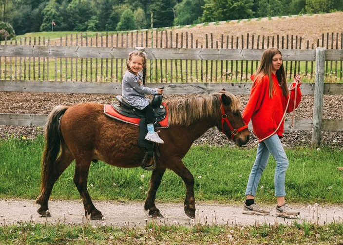 Picture for: My Little Horse Camp (Ages 2-5)