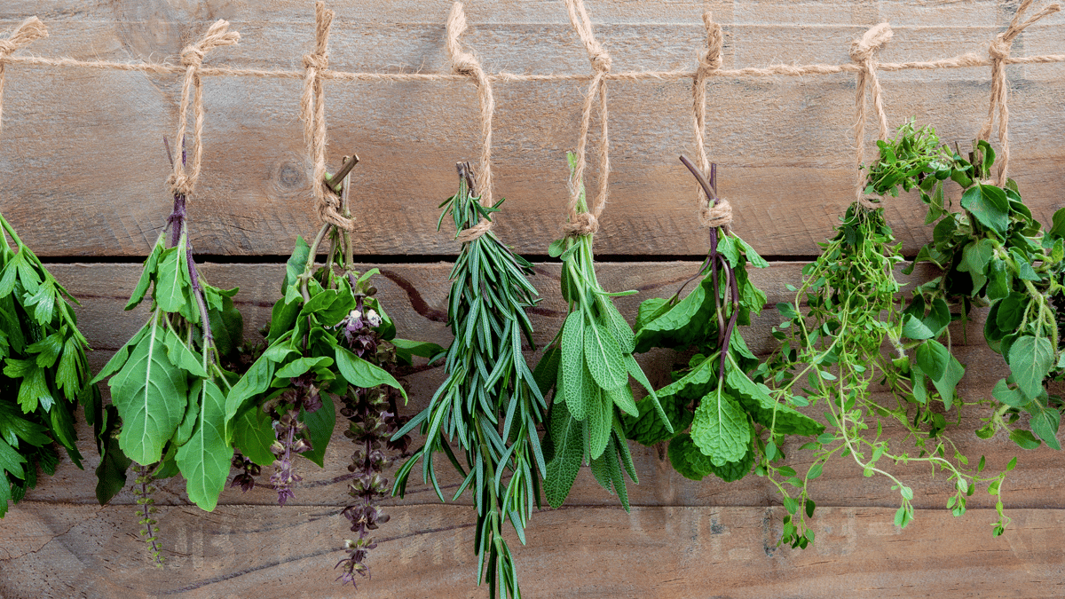 Picture for: Herb Gardening