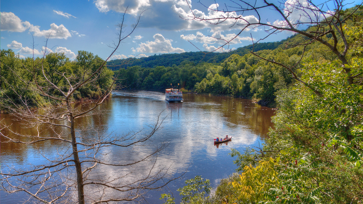 Picture for: Walking With The Woods: Guided Forest Bathing