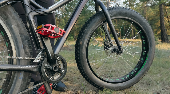 Picture for: Introduction to Fat Tire Biking
