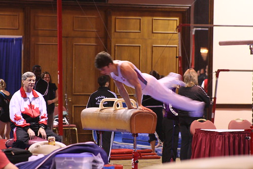 Picture for: Rings, Pommel Horse and More!