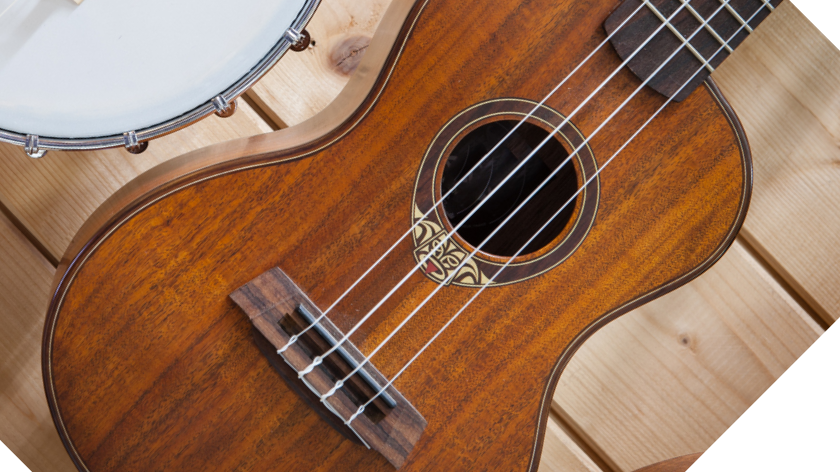 Picture for: Guitar and Ukulele: Individual Lessons, Ages 6 to Adult