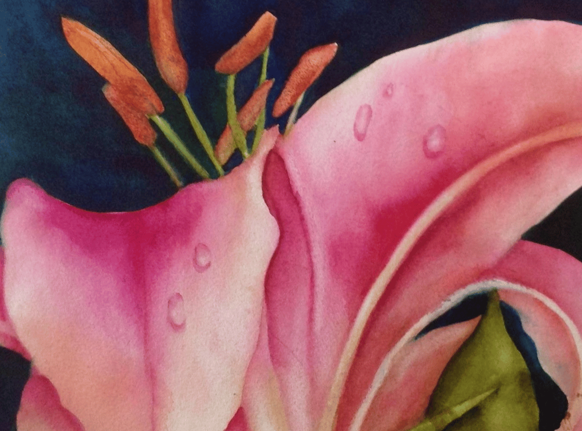 Picture for: Watercolor Painting: Sandy's Lily