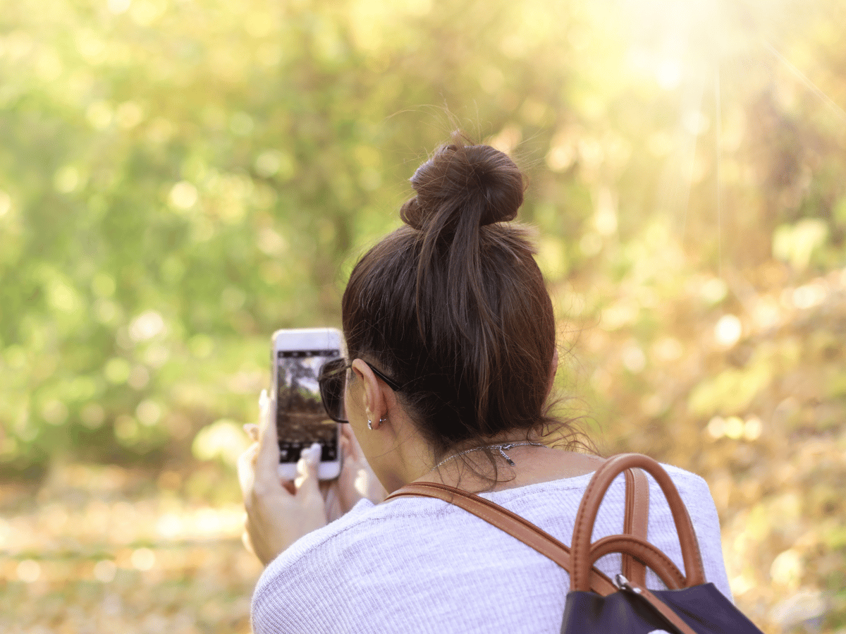 Picture for: Nature Photography Walk at Cherokee Park