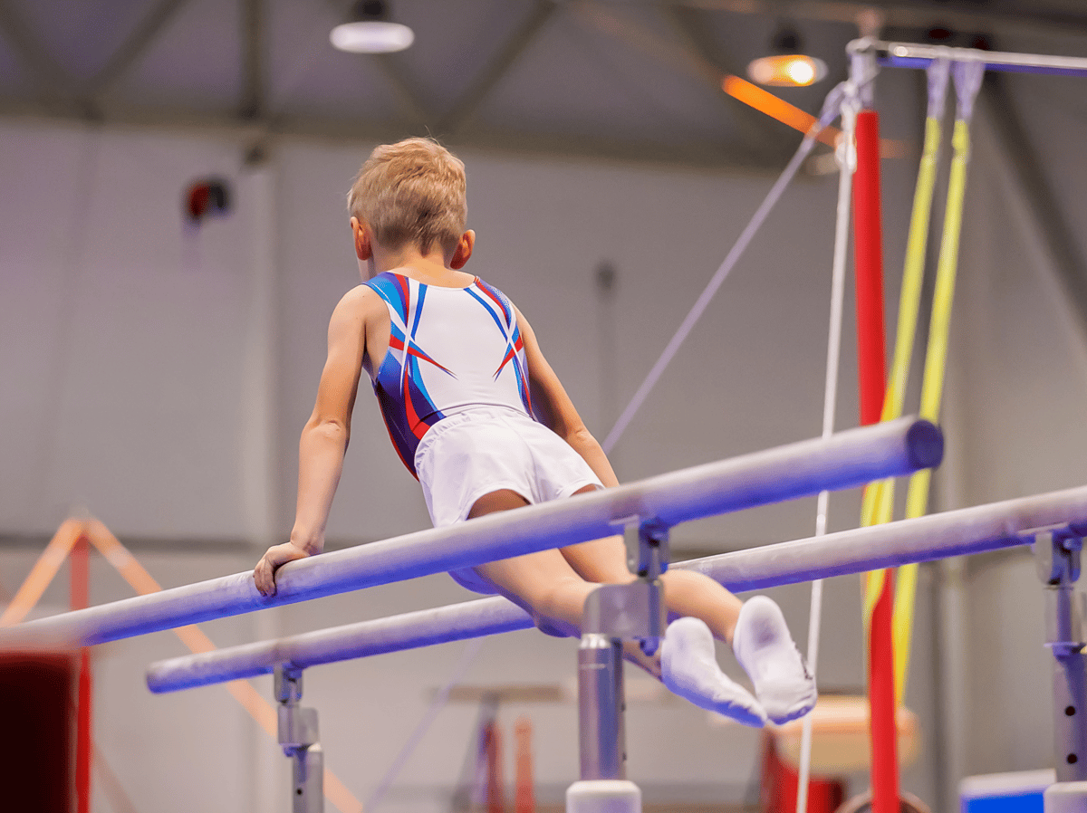 Picture for: Rings, Pommel Horse and More!