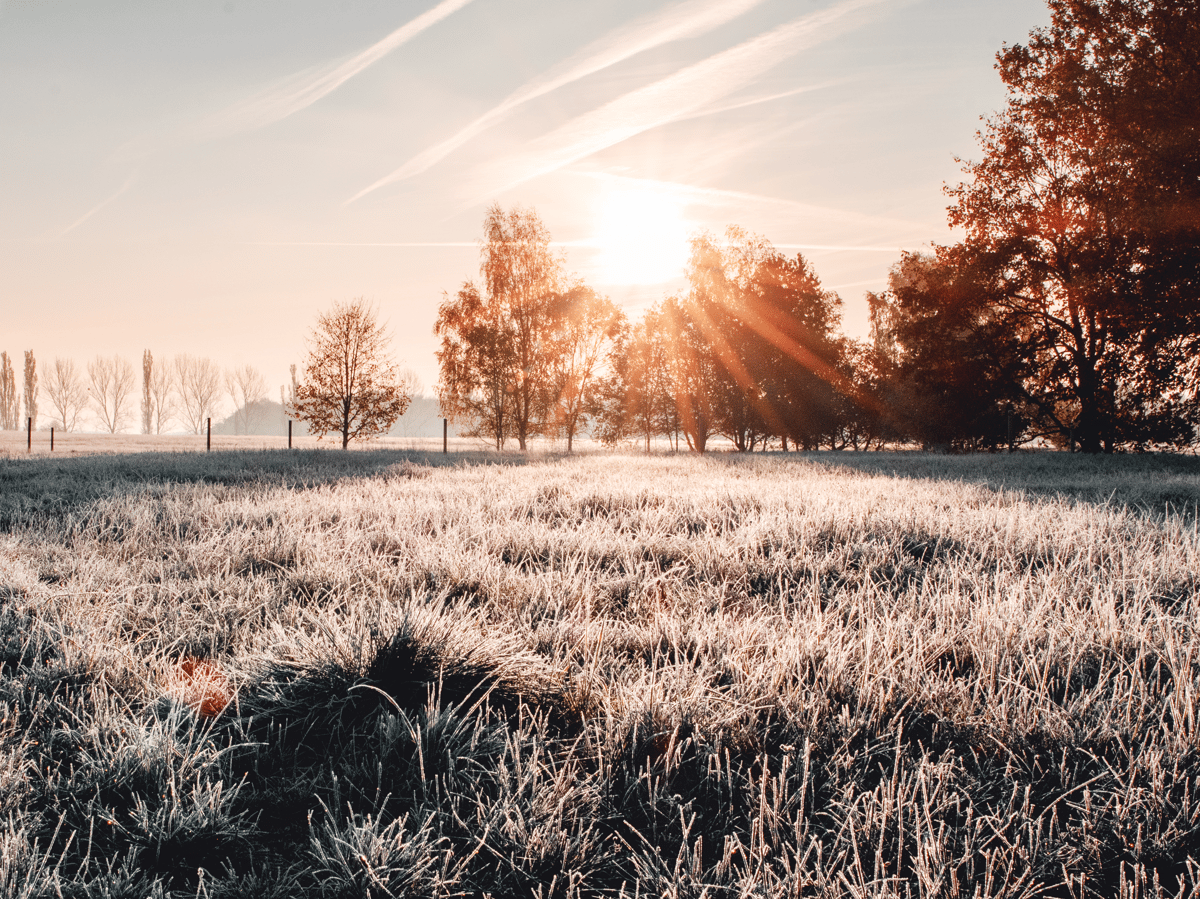 Picture for: Belwin Conservancy: Nature Journaling-A Practice in Play (Adult + Child)