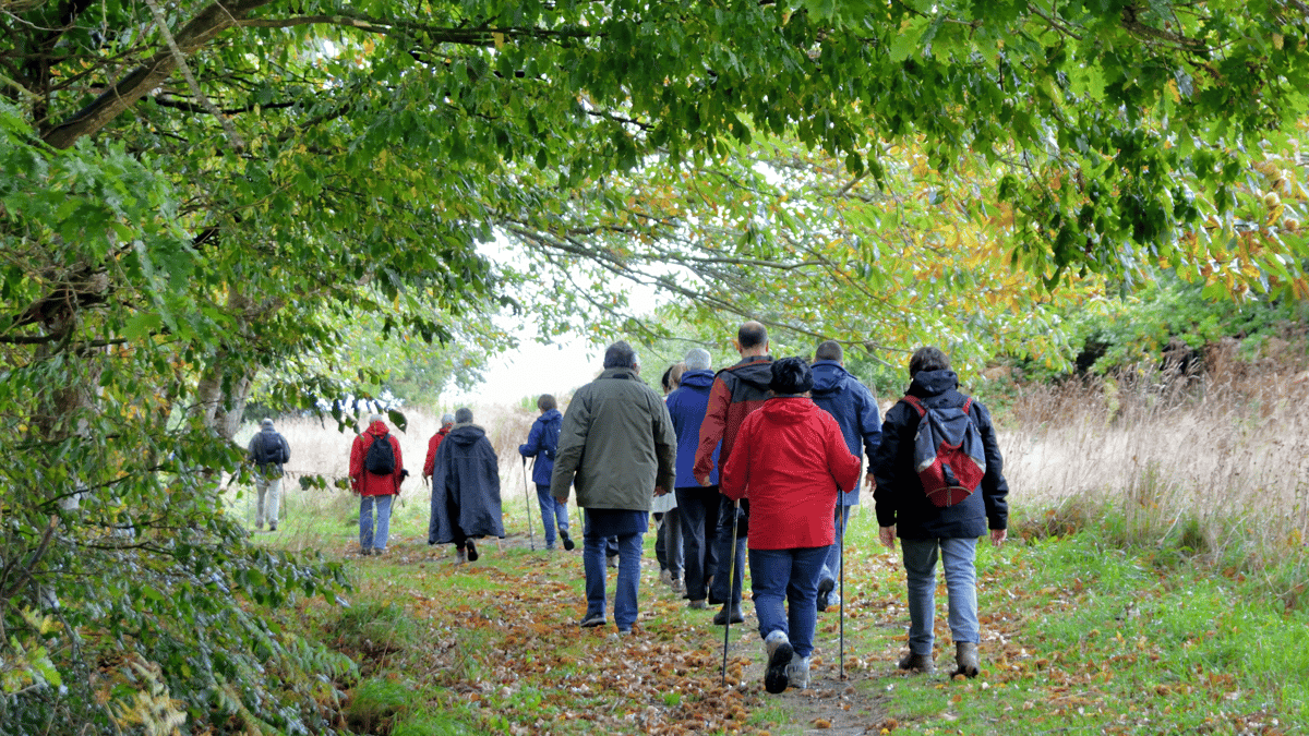 Picture for: Conexiones Verdes: Nature Walks