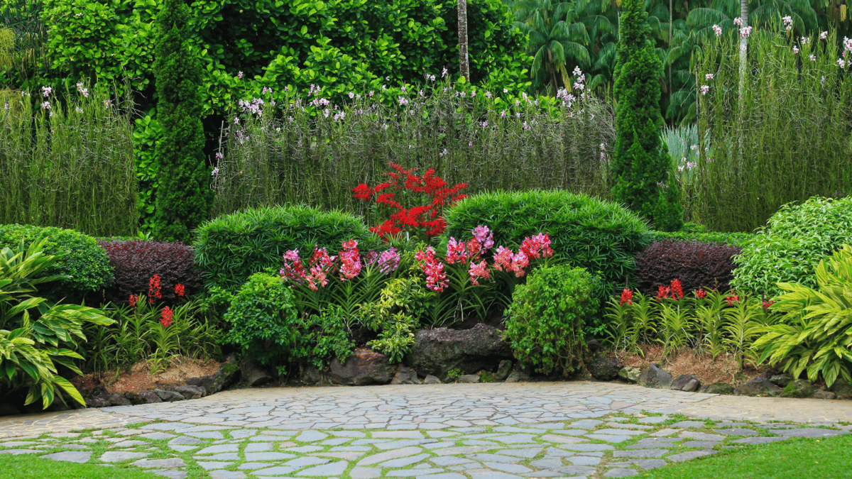 Picture for: Como Park Hidden Gems