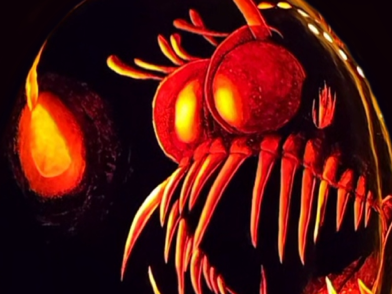 Picture for: Pumpkin Carving Workshop