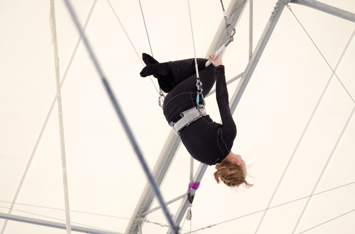 Picture for: Flying Trapeze 2