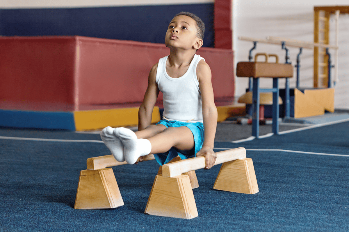 Picture for: Rings, Pommel Horse and More!