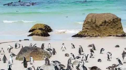 Picture for South Africa & Victoria Falls Adventure