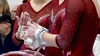 Picture for AT/Rec - High School Off-Season Gymnastics Training