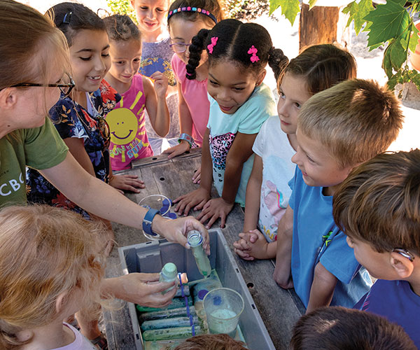 Picture for Summer Classes and Activities