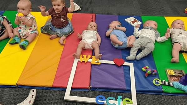 Image for Babies: Birth through 10 months