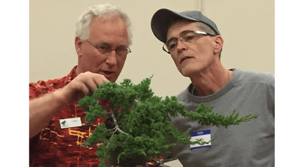 Course Intro to the Art of Bonsai image 1