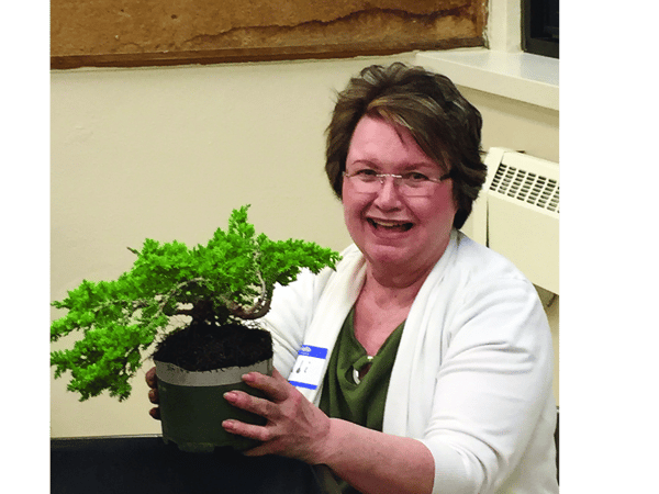 Course Intro to the Art of Bonsai image 2
