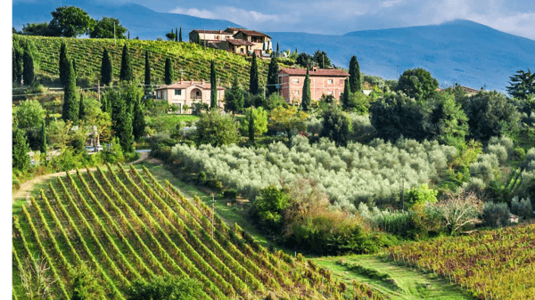 Course Rome & Country Roads of Tuscany image 1